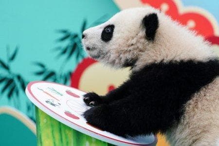 连续5年都没有“年三十”这究竟是为什么？