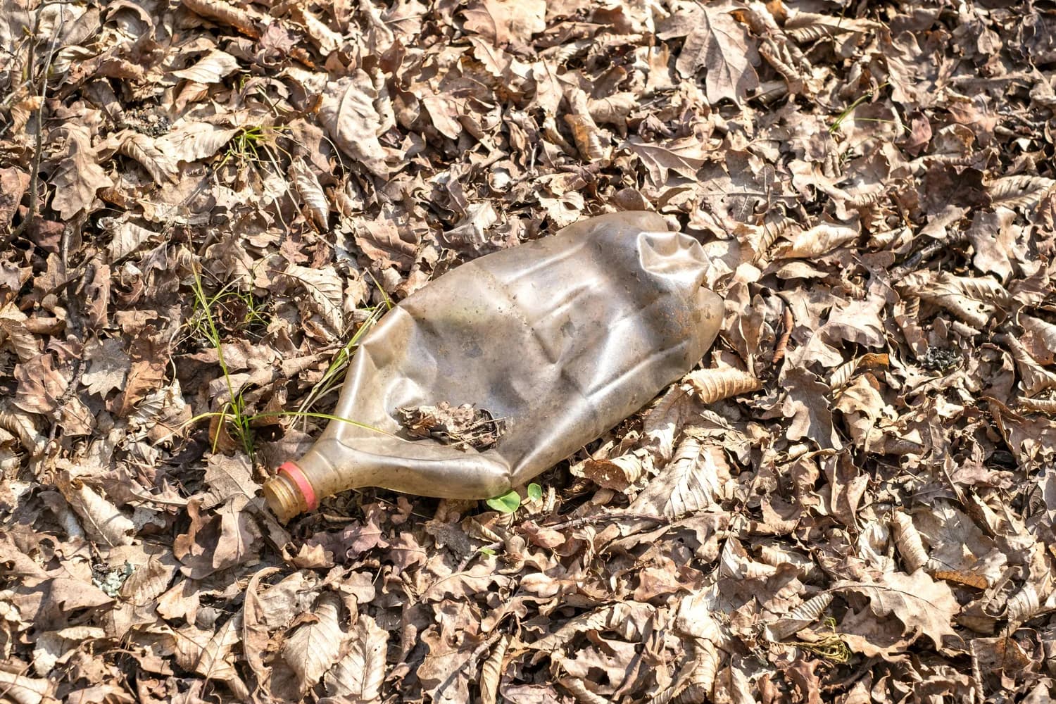 自制蜂蜜白酒，谷养康纯粮酒让你更健康