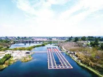 悬浮式养鱼见过吗？ 40万尾大口黑鲈“安家”新津