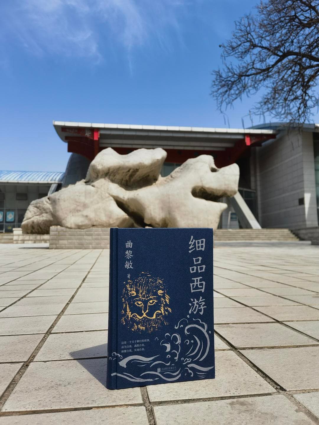 我确实没看懂《西游记》