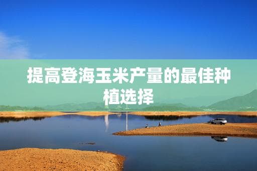 提高登海玉米产量的最佳种植选择