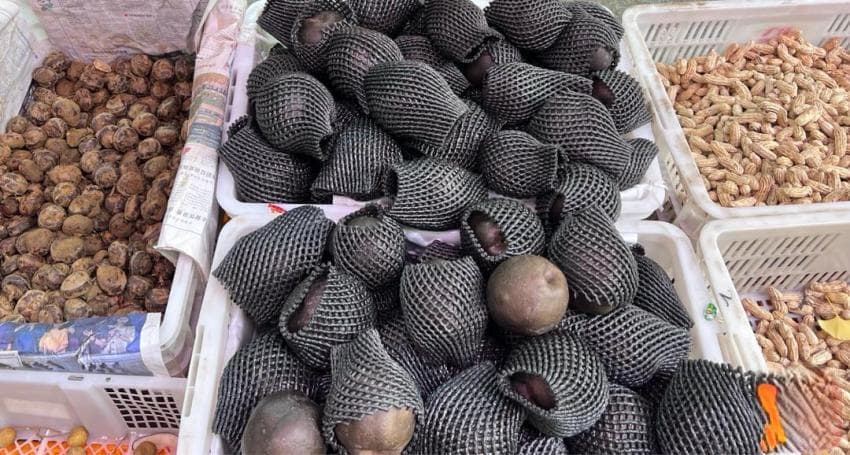 成都街头现高仿冻梨，专家：黑皮是“化妆的”