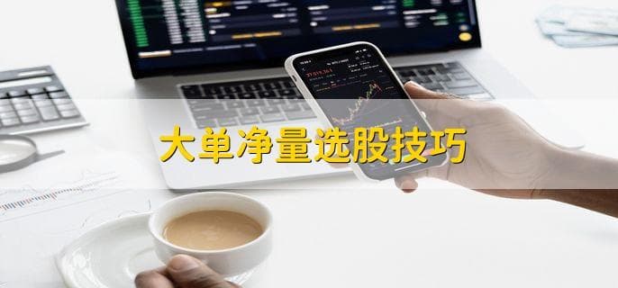 大单净量选股技巧：五点实用指南