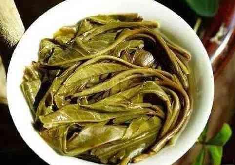 普洱茶的独特陈化过程及其带来的口感与香气特征