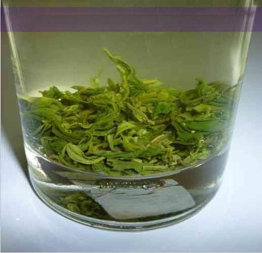 红茶的健康益处：科学家揭示其独特的抗衰老效果