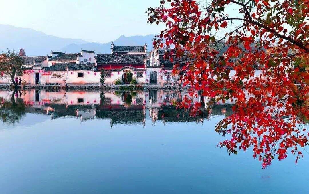 江南赏秋哪里美？