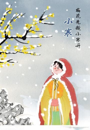 文化中国行·诗意节令丨小寒：银装映冬色 梅香暖乾坤