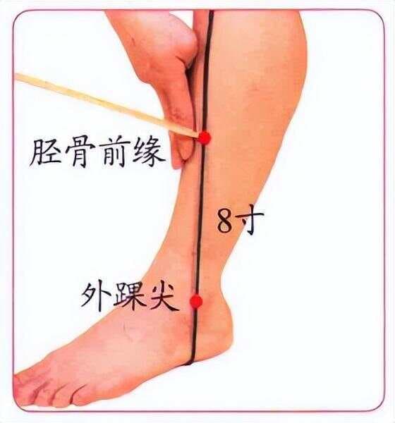 丰隆穴——除湿化痰要穴