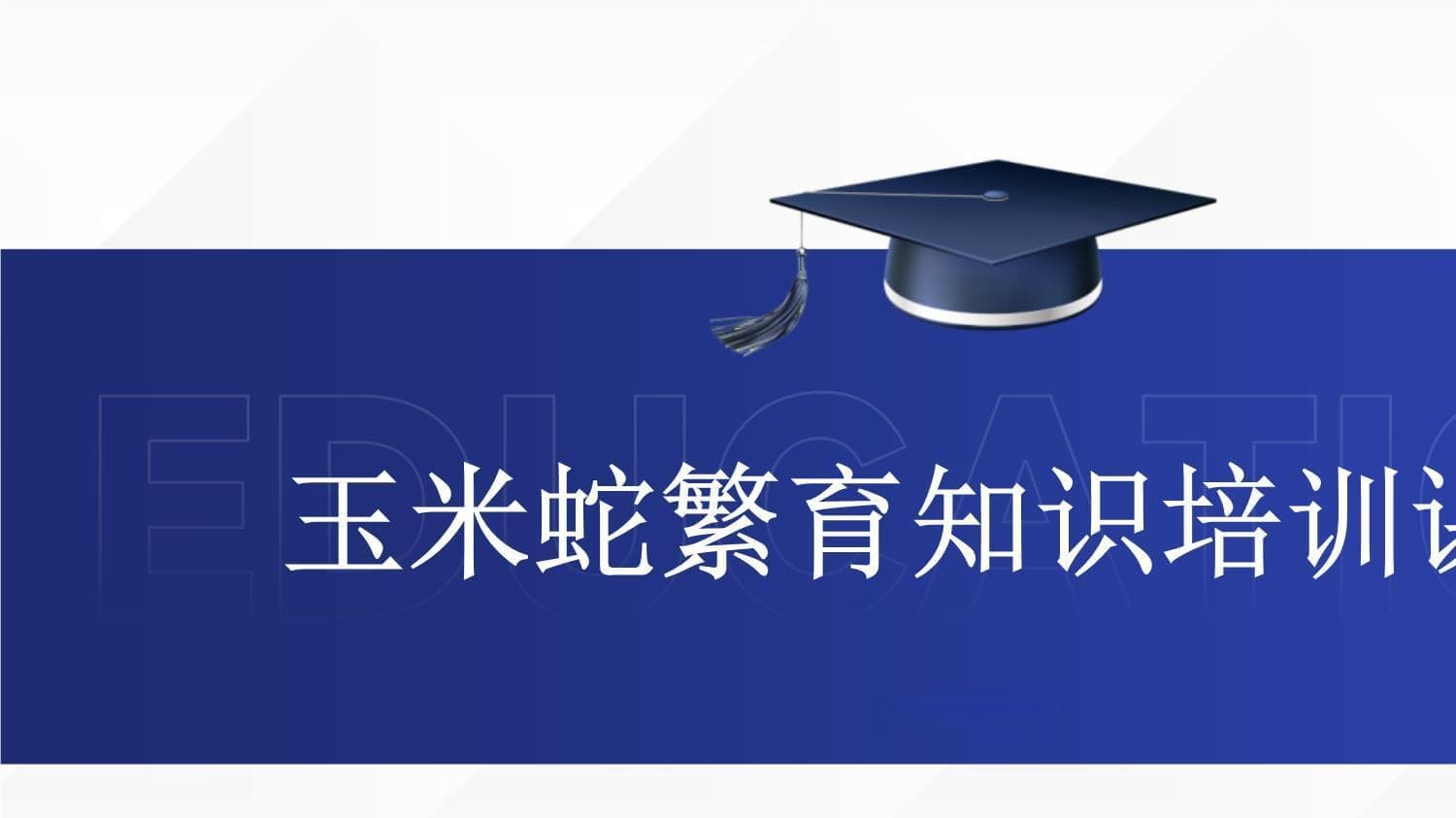 玉米蛇繁育知识培训课件