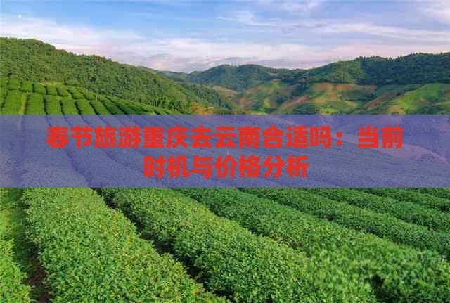 春节旅游重庆去云南合适吗：当前时机与价格分析