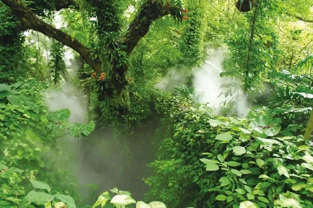 告别高楼大厦，这个周末就要去福建植物园“森”呼吸~