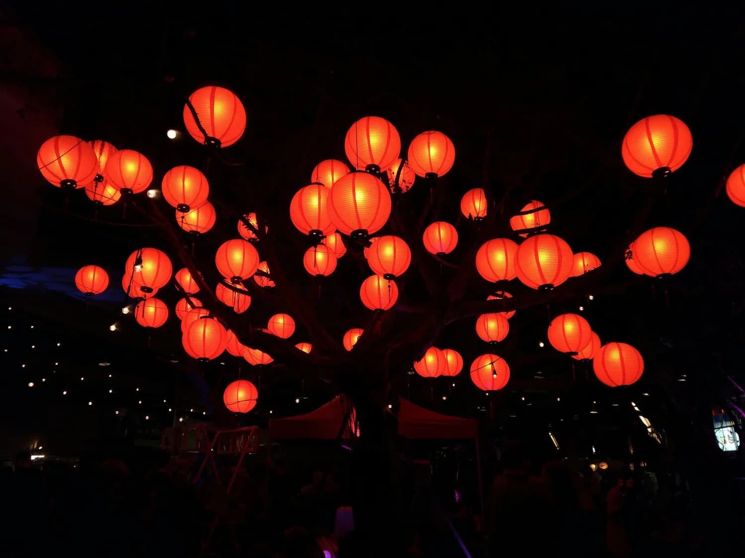 单依纯、刘宇宁将引爆2025湖南卫视春晚