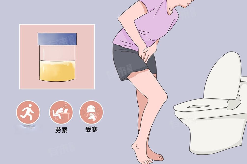 蛋白尿的定义