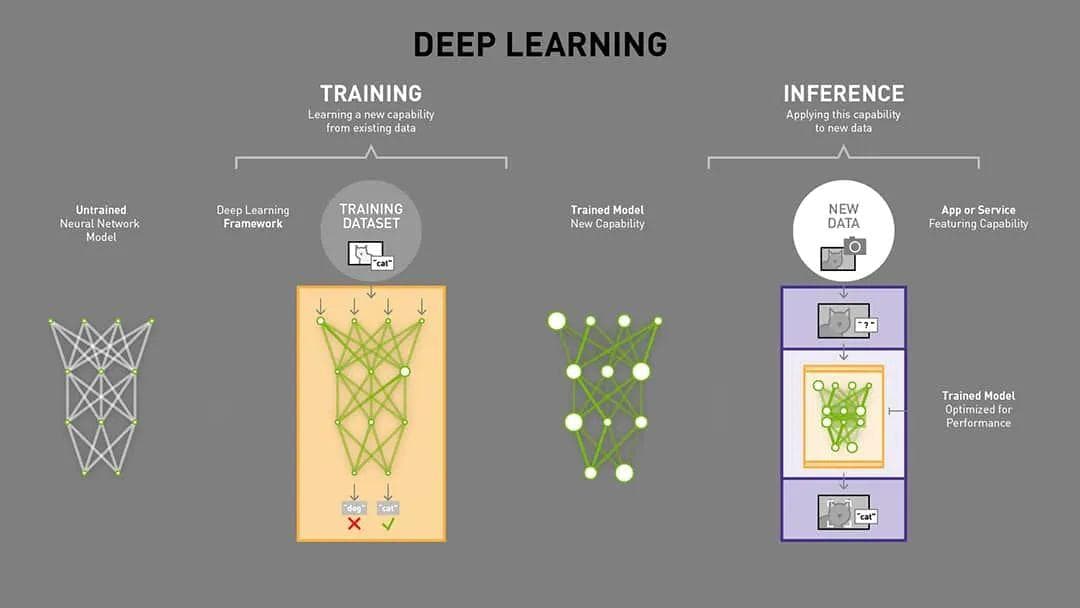 一文彻底搞懂深度学习：训练和推理（Training vs Inference）