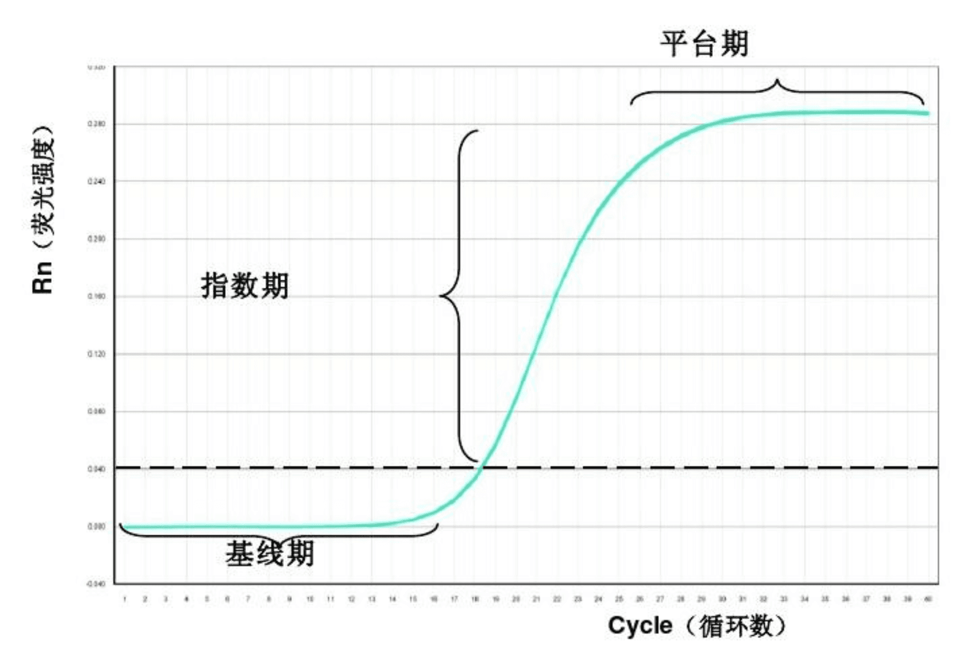 标准曲线绘制