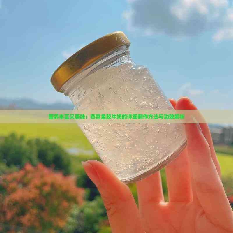 营养丰富又美味：燕窝鱼胶牛奶的详细制作方法与功效解析