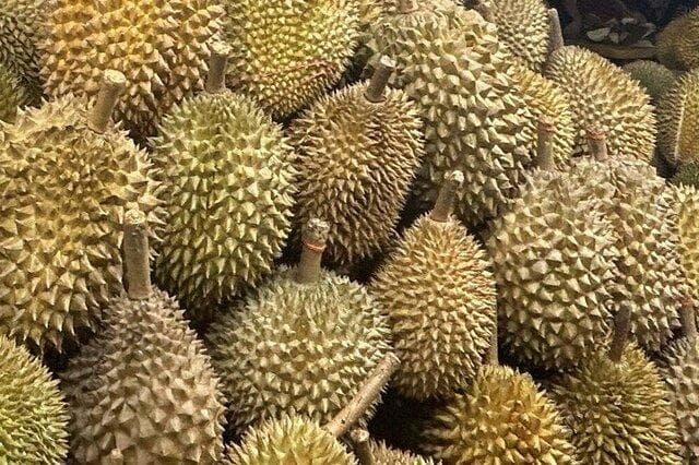 榴莲什么时候最好吃最便宜 各种榴莲成熟时间汇集