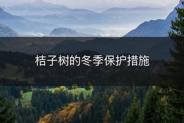 桔子树的冬季保护措施