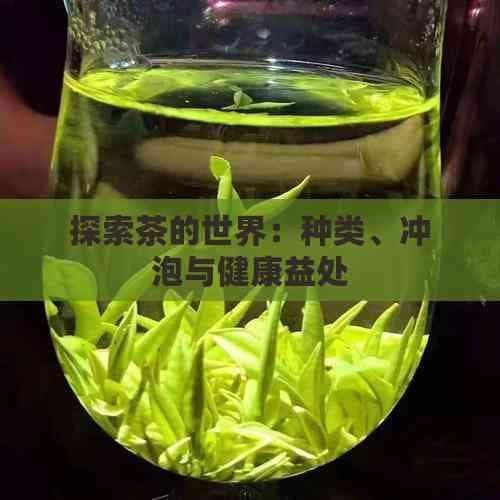 探索茶的世界：种类、冲泡与健康益处