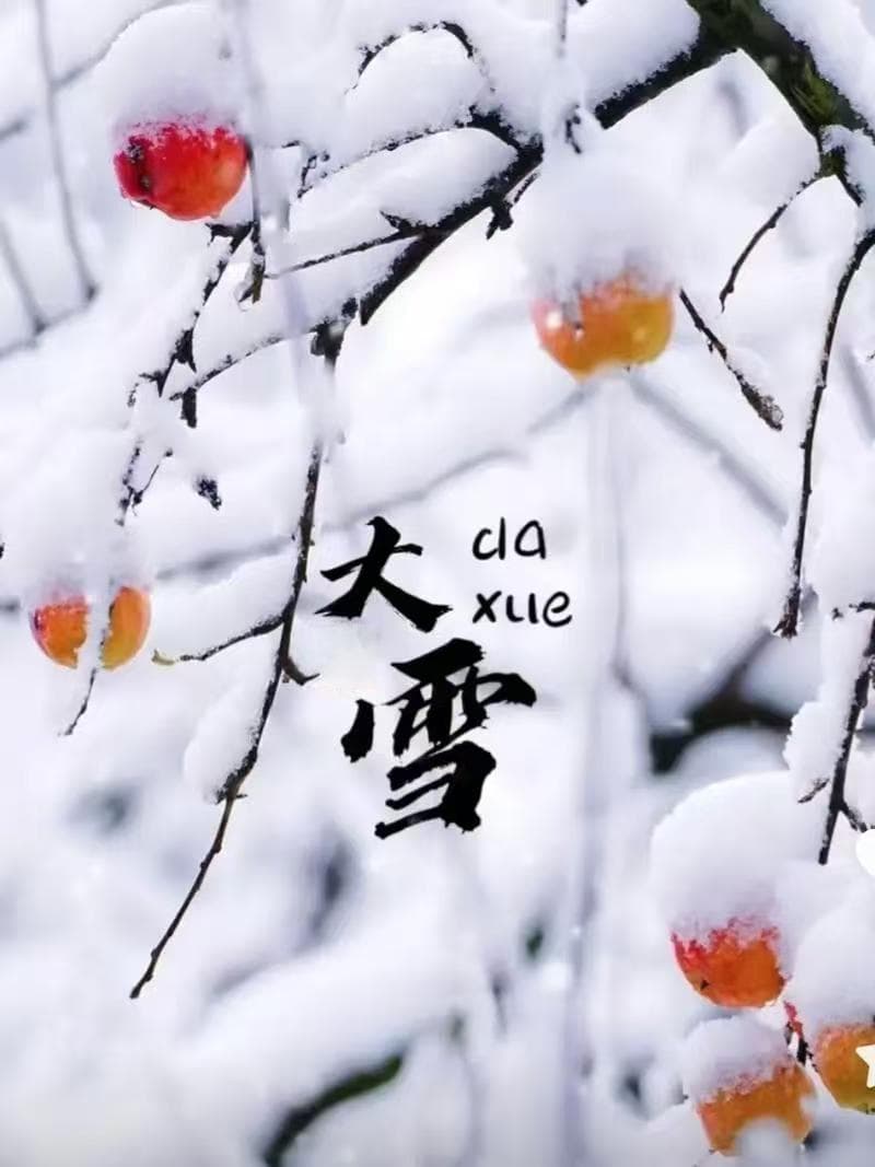 大雪节气养生攻略