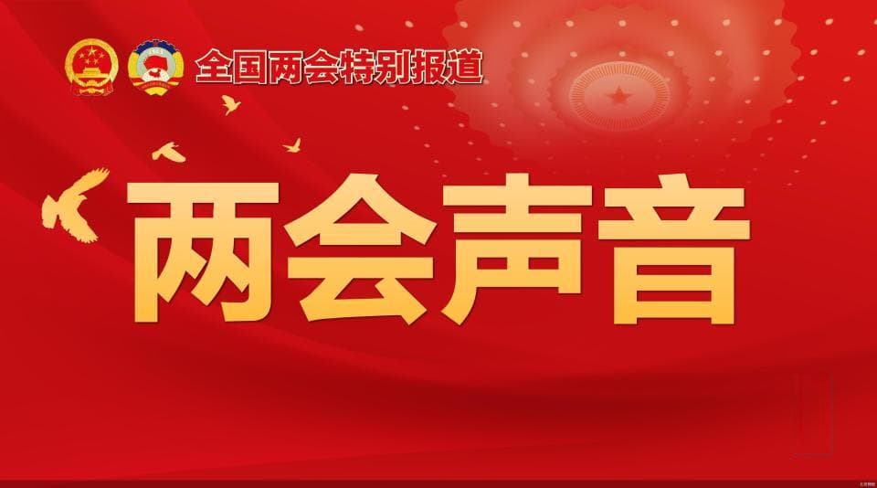 两会声音：代表委员热议AI发展，聚焦侵权治理、人才培养与"幻觉"问题