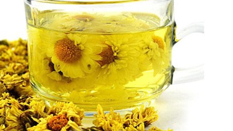 胎菊茶的功效与作用、禁忌和食用方法