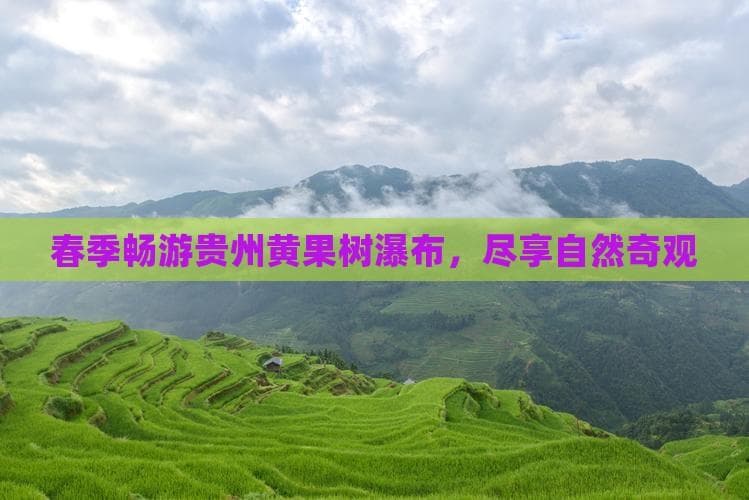 春季畅游贵州黄果树瀑布，尽享自然奇观