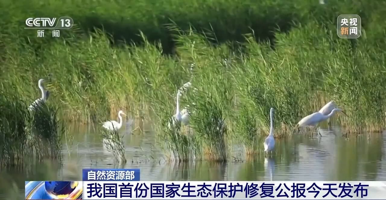 国家生态保护修复工作进展如何？最新公报公布