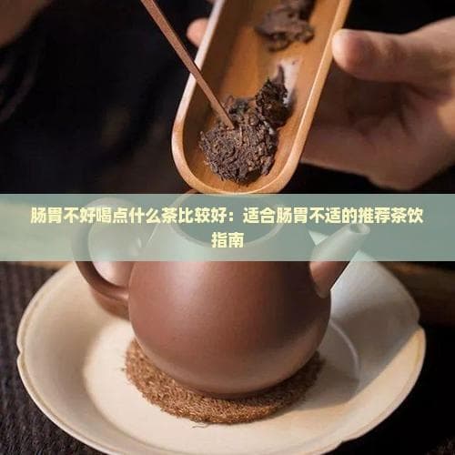 肠胃不好喝点什么茶比较好：适合肠胃不适的推荐茶饮指南