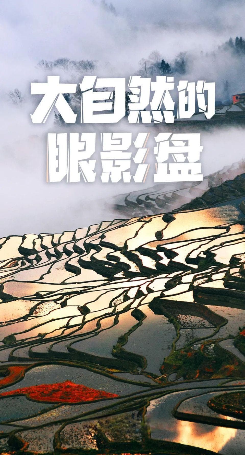 从3000层的元阳到自流灌溉的紫鹊界：中国梯田奇观