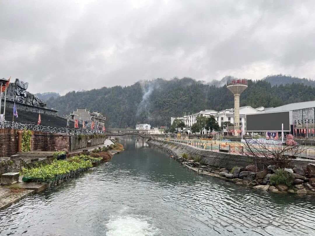 从"倒读经典"解读《伤寒杂病论》之麻黄汤
