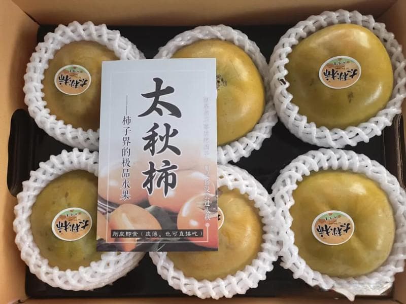 物之源：太秋甜柿产业筑梦新农人的科技兴农新图景