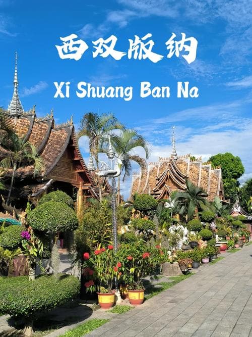 西双版纳旅游必去的五大景点，绝对让你流连忘返！