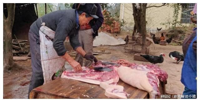 农村杀猪卖肉：合法or违法？专家为你解答！