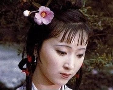 黛玉葬花：一首诗，一个时代的悲歌