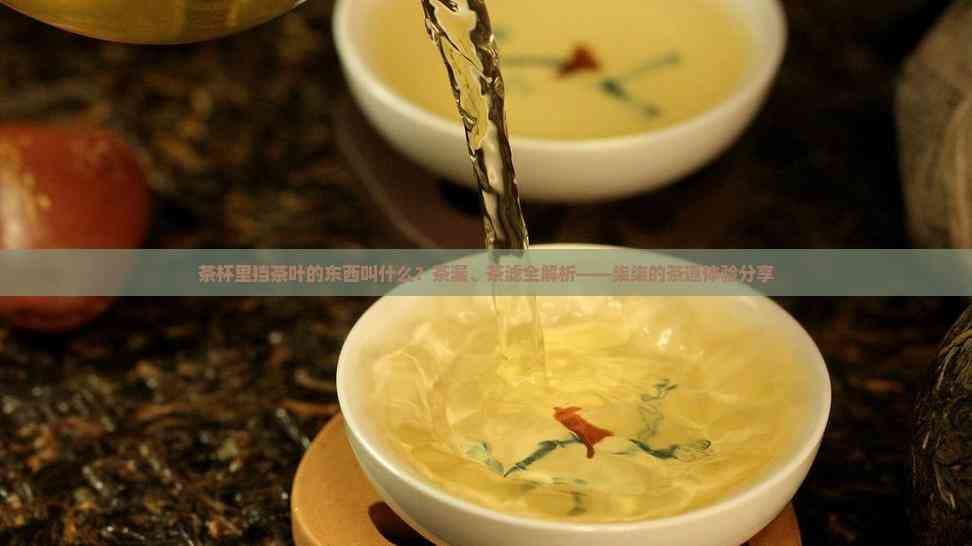 茶杯里挡茶叶的东西叫什么？茶漏、茶滤全解析