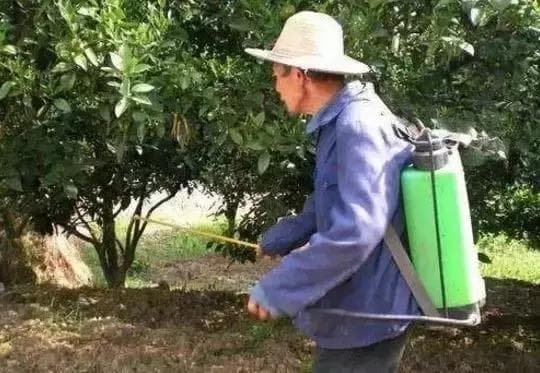 矿物油的作用及杀虫效果