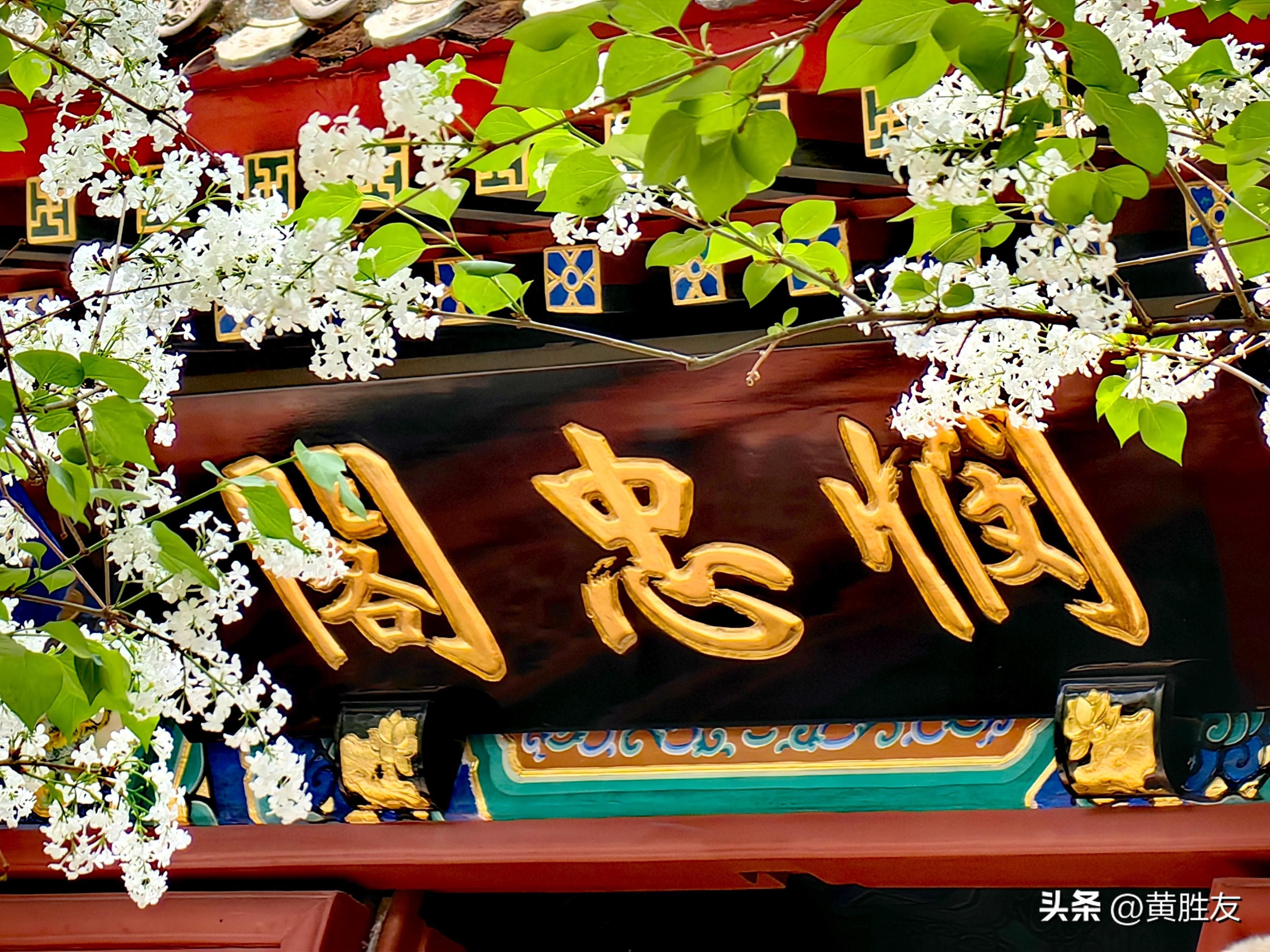 毛泽东与北京法源寺轶事