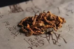 赤芍：一种神奇的中草药？