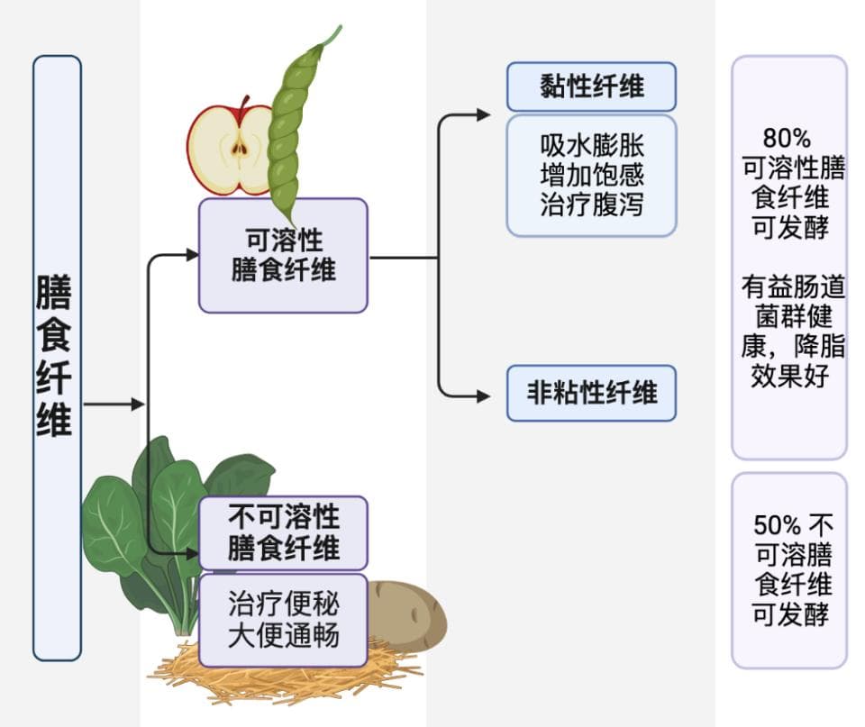 糖尿病最友好的食物——膳食纤维