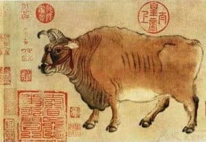 牛肉的功效：专补脾土，功同黄芪