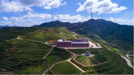 从一叶兴而百业兴 传统工艺绘就福建安溪致富新画卷