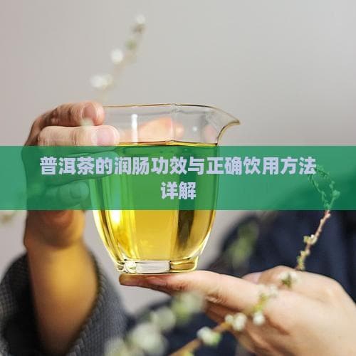 普洱茶养生：润肠功效与正确饮用方法详解