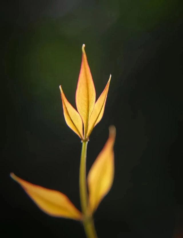 广西艾滋病婚检：守护爱情与健康的温馨防线