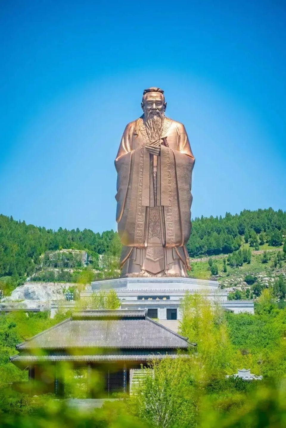 “山东人的身高”，为啥频上热搜