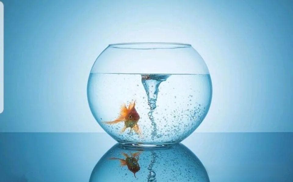 俗话说“水至清则无鱼”，下半句才是精华，点破做人的大智慧！