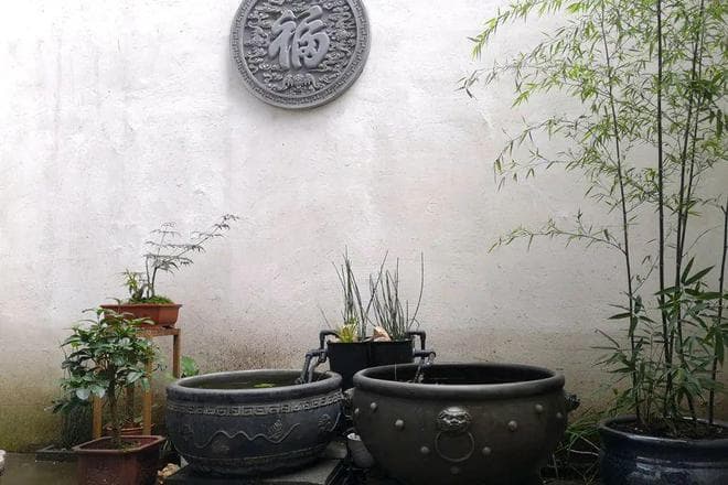 庭院瓦盆养金鱼
