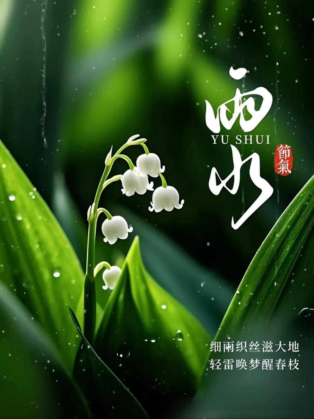 二十四节气——雨水