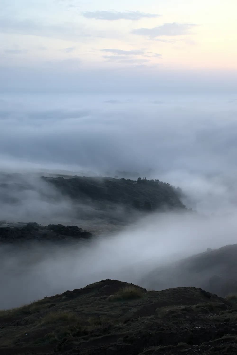 冬游武夷山：仙境般的雨雾缭绕