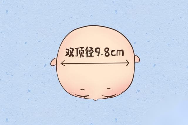 BPD是胎儿的什么？从定义到临床应用全解析